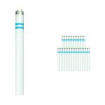 Mehrfachpackung 25x Philips MASTER TL-D Secura 58W - 840 Kaltweiß | 150cm Mehrfachpackung 25x Philips MASTER TL-D Secura 58W - 840 Kaltweiß | 150cm