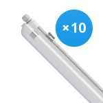 Mehrfachpackung 10x Philips LED Feuchtraumleuchte CoreLine WT120C 42.9W 6000lm - 840 Kaltweiß | 150cm Mehrfachpackung 10x Philips LED Feuchtraumleuchte CoreLine WT120C 42.9W 6000lm - 840 Kaltweiß | 150cm